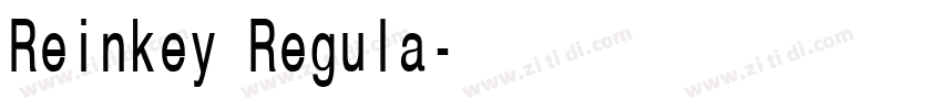Reinkey Regula字体转换 Reinkey Regula字体转换